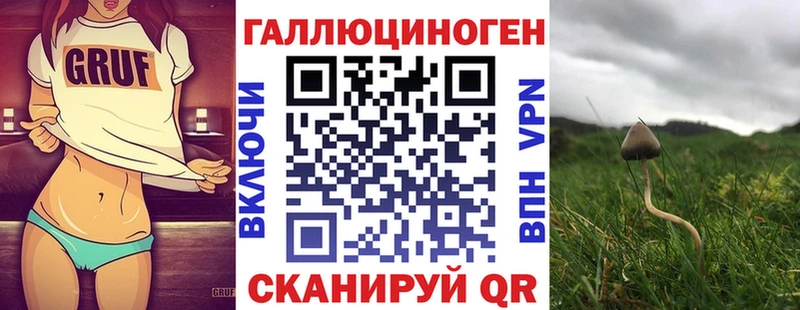 хочу   Багратионовск  Псилоцибиновые грибы Psilocybine cubensis 